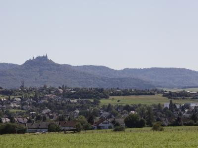 Landschaft mit Burg Hohenzollern im Hintergrund